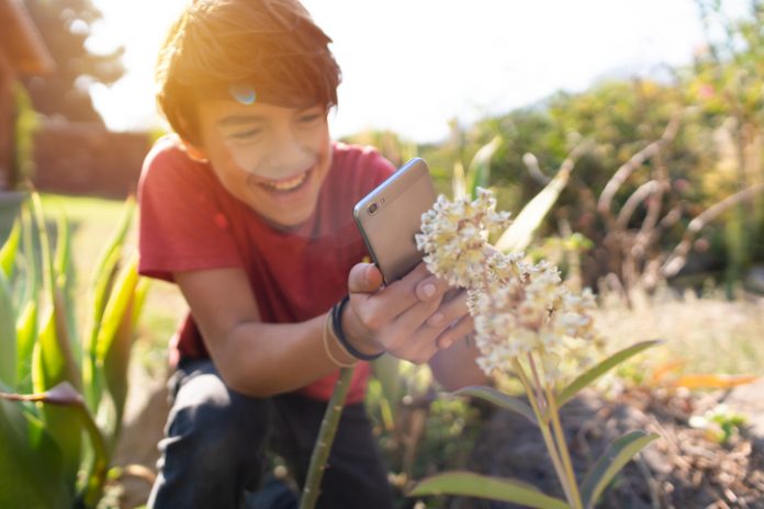 Boy in red t-shirt holding a cellphone and taking a picture of a plant