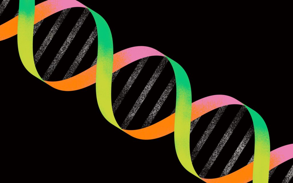 illustration of DNA