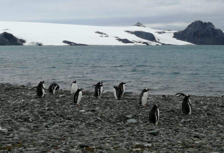 Mexican scientists want to ‘conquer’ Antarctica | TecScience