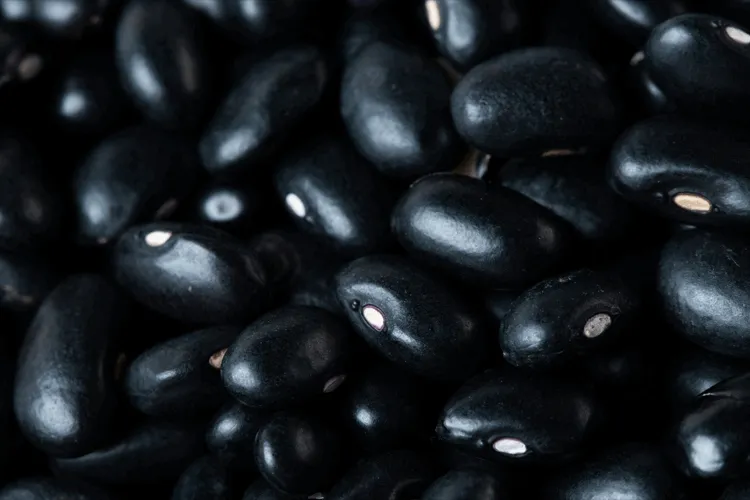 black bean seeds