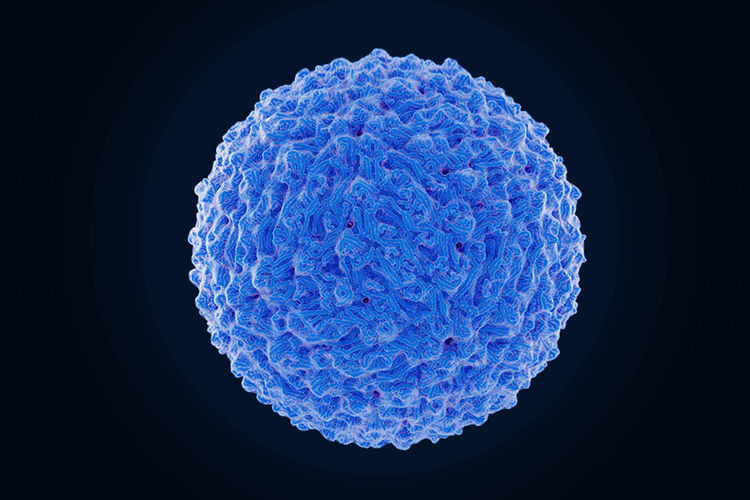 Photographic image of a blue particle of the Dengue virus.