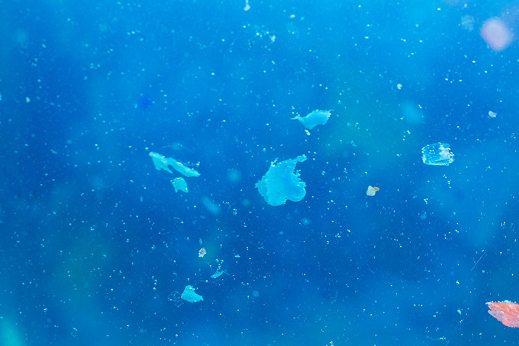 closeup of microplastics in water