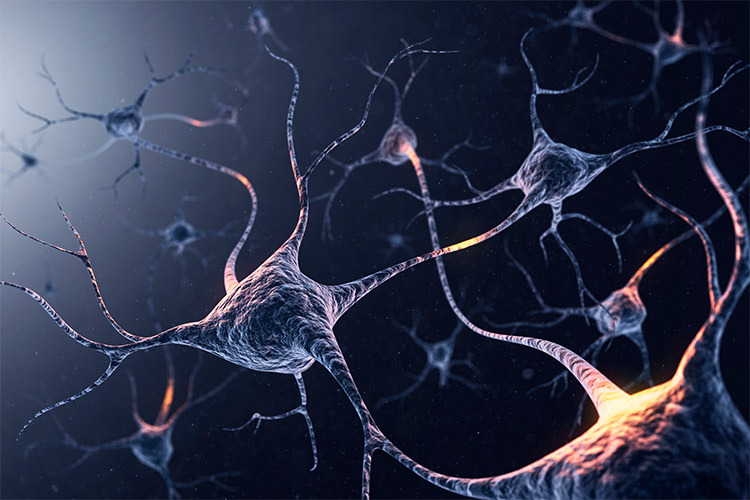 In the photo you see an illustration of systems of neurons with glowing connections.