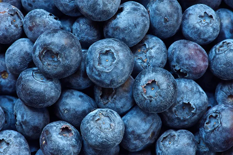 a bunch of blueberries