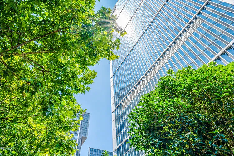 Green Space Around a Building