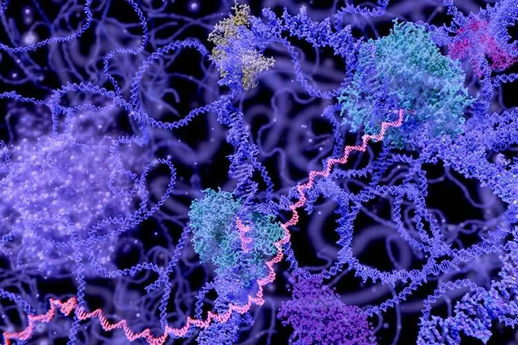 Illustration of RNA in purple tones