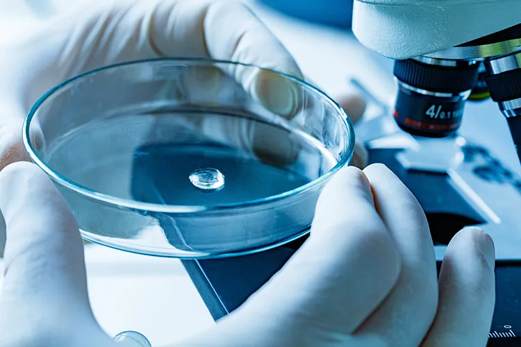 image of a petri dish with a drop of water ready to be analyzed