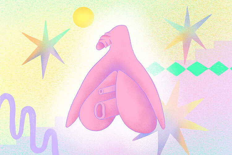 3D illustration of the clitoris