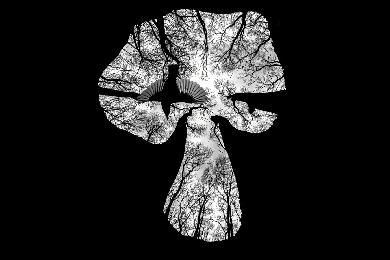 An Euroasian nuthatch –a 14 mm length robust bird with a short tail and long beak– flies among the trees. Photo: Csaba Daróczi, winner in Animals category.  ​​📷 Nuthatch⁣ Category animals⁣ Csaba Darócz | cupoty.com⁣  &nbsp;  &nbsp;