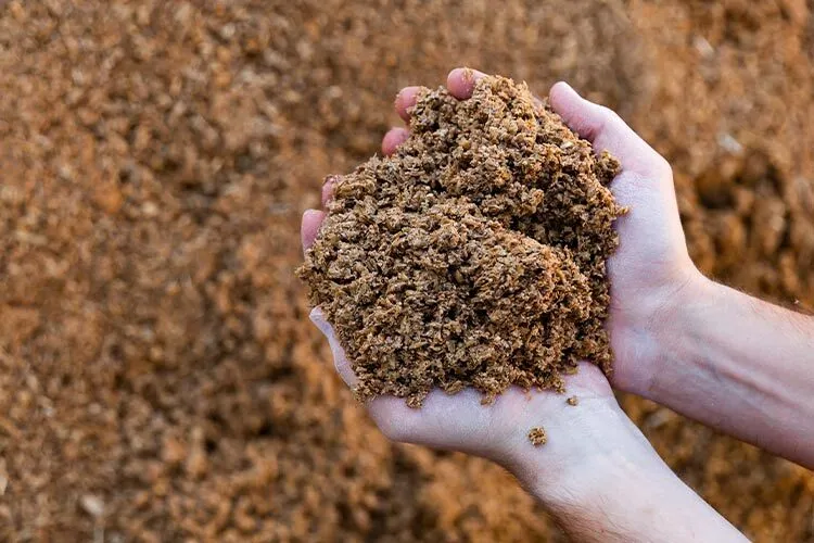 hands holding brewer's spent grain
