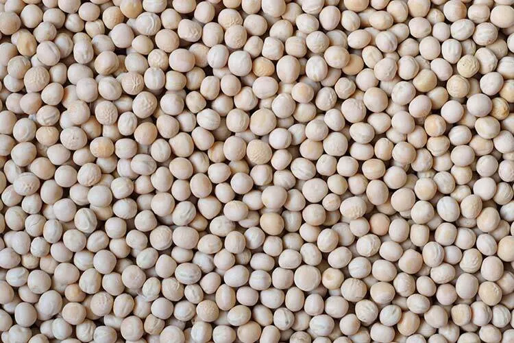 yellow peas