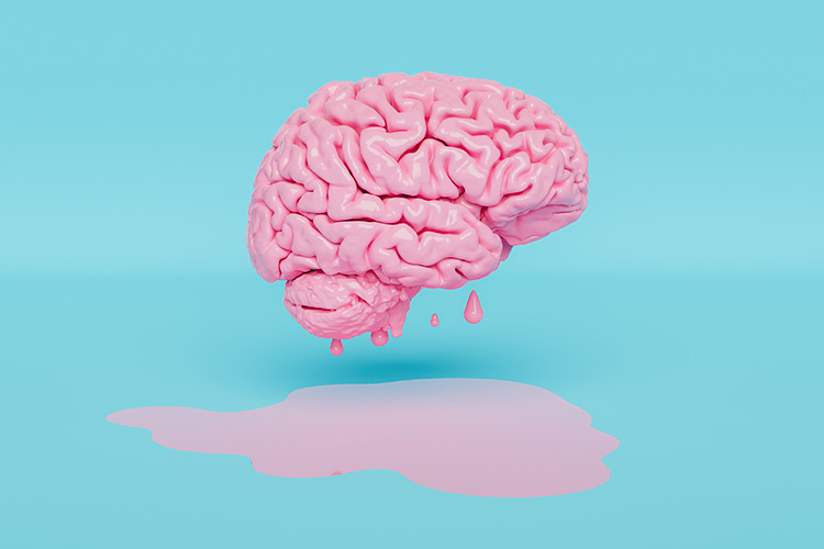 image of the brain melting down