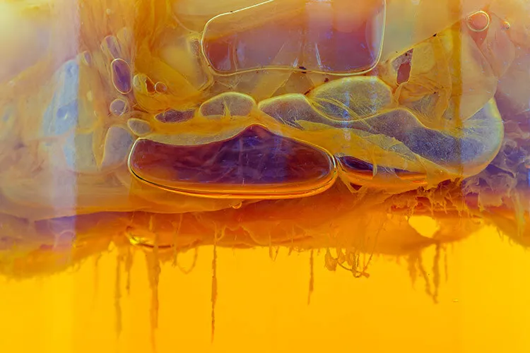 kombucha close up