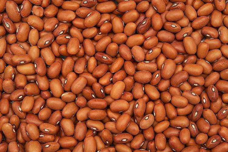 Photograph of beans.