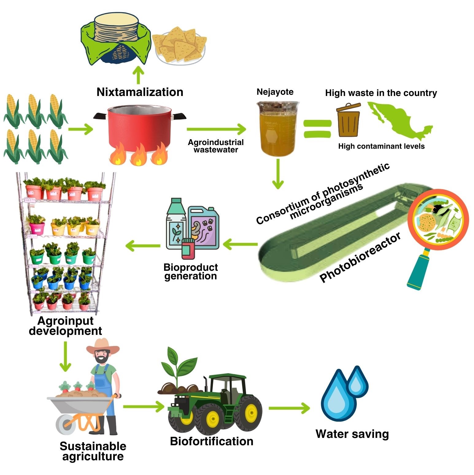 The Potential of Nejayote | TecScience
