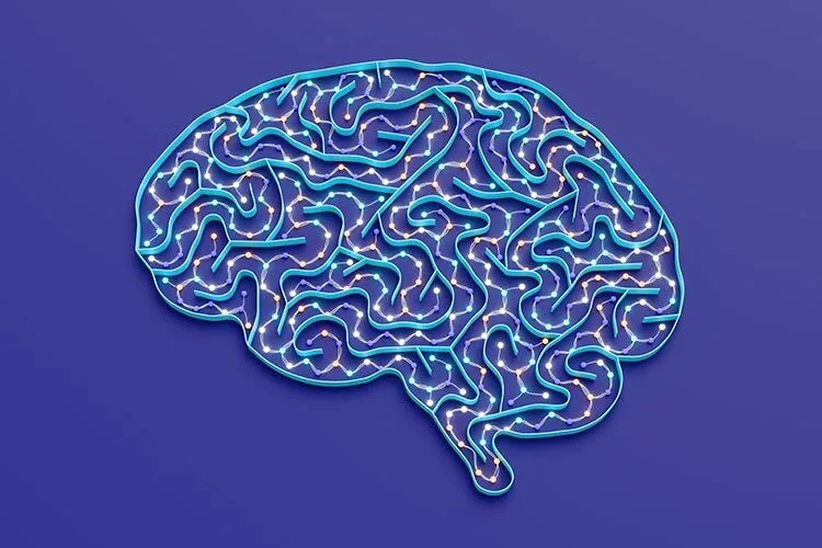 brain and neuronal activity about death brain activity