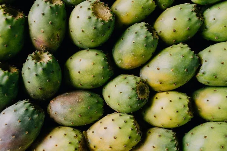 green prickly pear peel