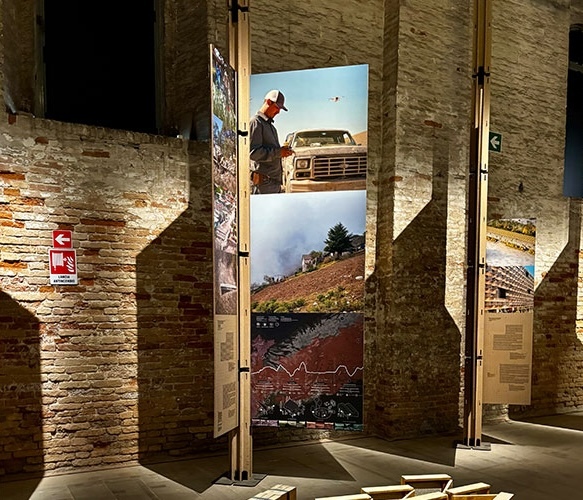 bienal proyectos EAAD
