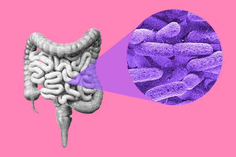 The image shows the human intestines and a close-up of the microbiota.