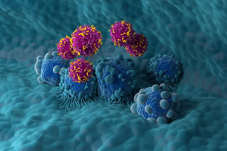 Illustration showing the use of chimeric antigen receptor (CAR) T cells (pink) to treat pancreatic cancer (blue).