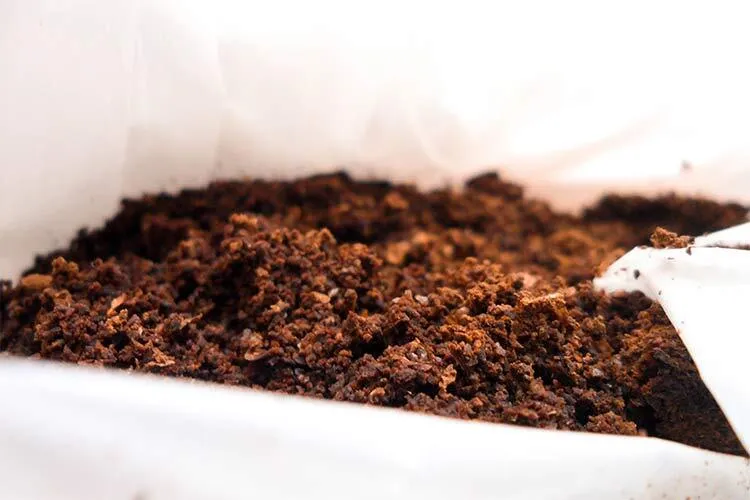 coffee waste to create plastic
