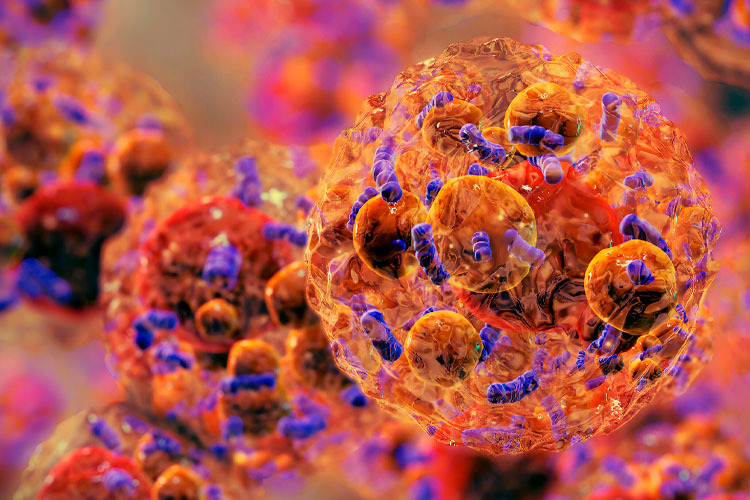 In the image, a microscopic close-up of adipocyte cells.
