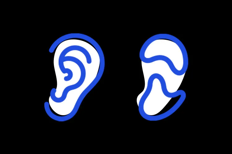 Illustration of an ear
