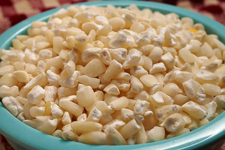 tortillas nixtamalization