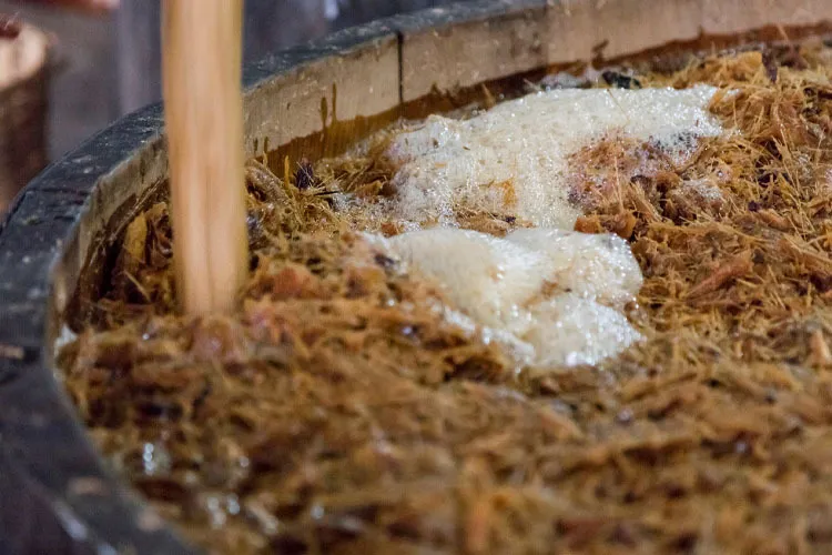 agave bagasse close up
