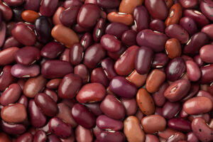 a photograph of beans