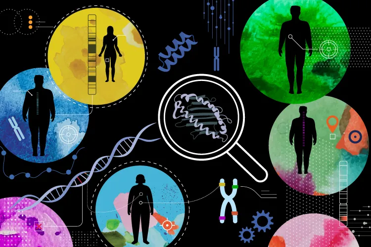 Illustration of DNA and human figures representing a repository of studies on obesity in Latinos living in the United States.