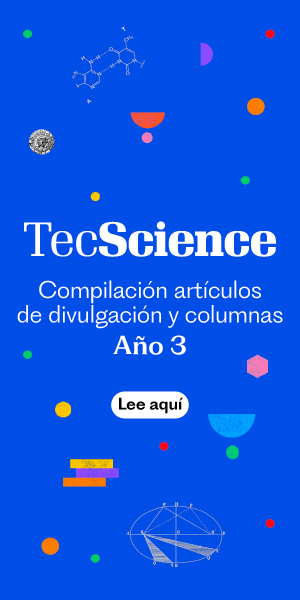 BoxBanners-Revista-1 (1)