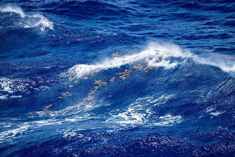 A wave
