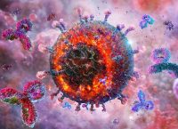 therapeutic HIV vaccine