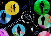 Illustration of DNA and human figures representing a repository of studies on obesity in Latinos living in the United States.