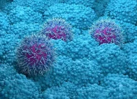 animated photograph of pancreatic cancer tumors