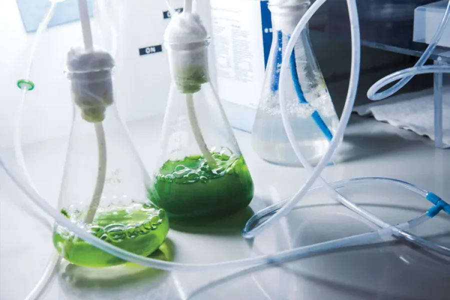 flasks in a laborartory