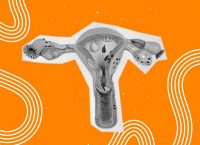 Illustration of the internal female reproductive system