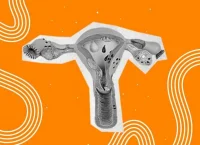 Illustration of the internal female reproductive system