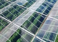 Aerial photo of a group of greenhouses