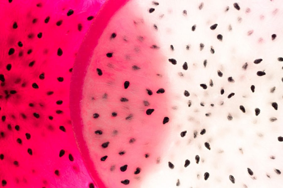 Close-up of pitaya seeds