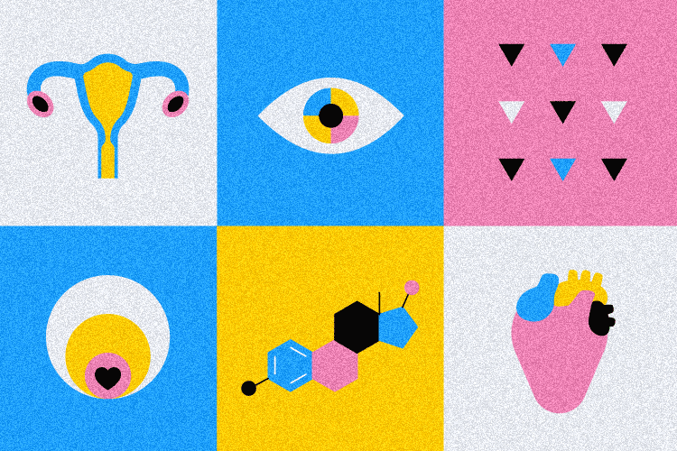 The image shows a series of illustrations of different parts of the human body. The illustrations are done in a simple and linear style, with black lines on a white background. The body parts shown are: A uterus An eye A heart A molecule