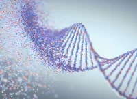 An illustration of the DNA double helix