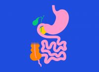 illustration of the digestive system when it comes a bariatric surgery