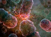 bacteries