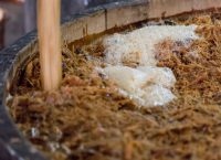 agave bagasse close up