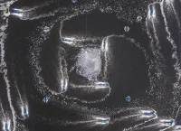 Illustration of the concept of water desalination.