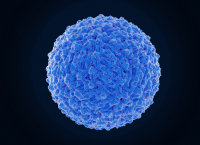Photographic image of a blue particle of the Dengue virus.