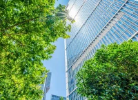 Green Space Around a Building