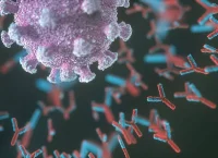 3D ilustration of antibodies in the presence of the SARS-CoV2 virus